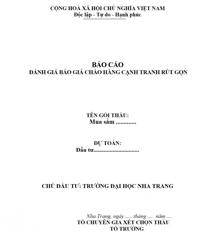 mau-bao-cao-danh-gia-chao-hang-canh-tranh-rut-gon